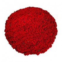 Букет "303 красные розы"