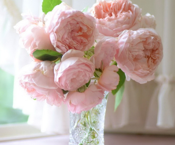 Как сохранить в вазе розы, чтобы они стояли дольше - важные советы 3