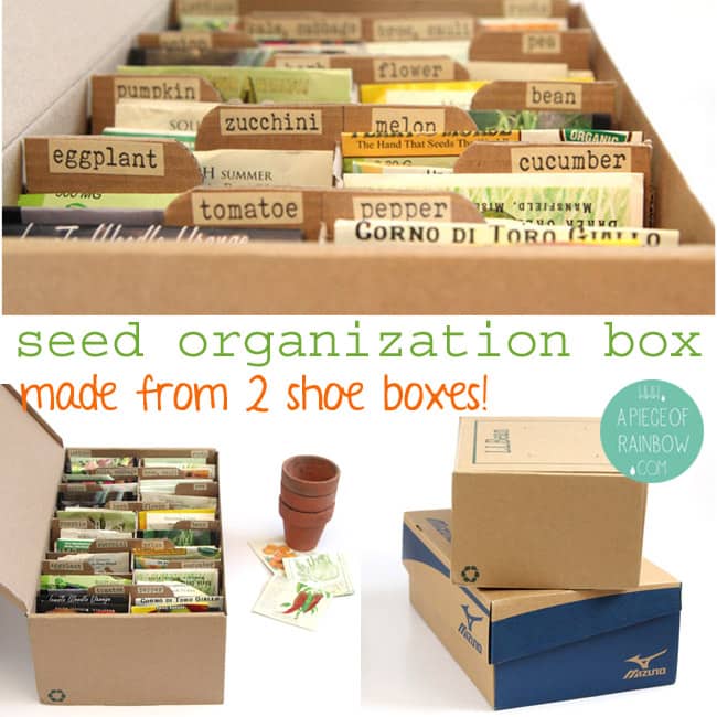 Make A Seed Box for organized storage 