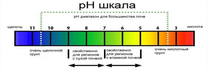 5 7 кислотность. Кислотность почвы шкала кислотности. РН почвы для растений таблица. PH таблица кислотности. PH 12 кислотность почвы.