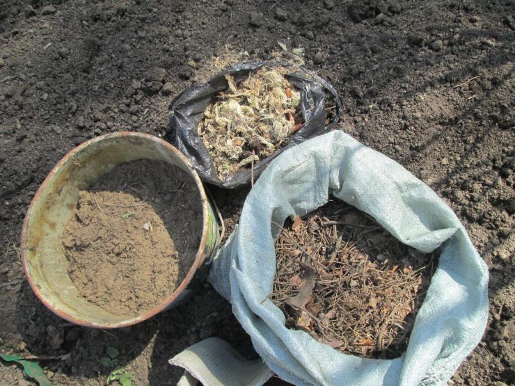 почва для рододендрона