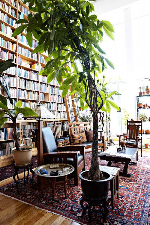 Libraries and plants make a great pair