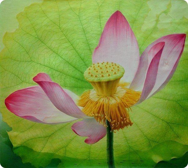 Лотос — божественный цветок Востока, или Символ чистоты и совершенства в творчестве, фото № 34