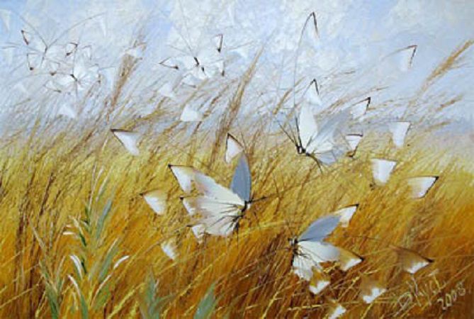 Бабочки — это цветы, которые сорвал ветер, фото № 37