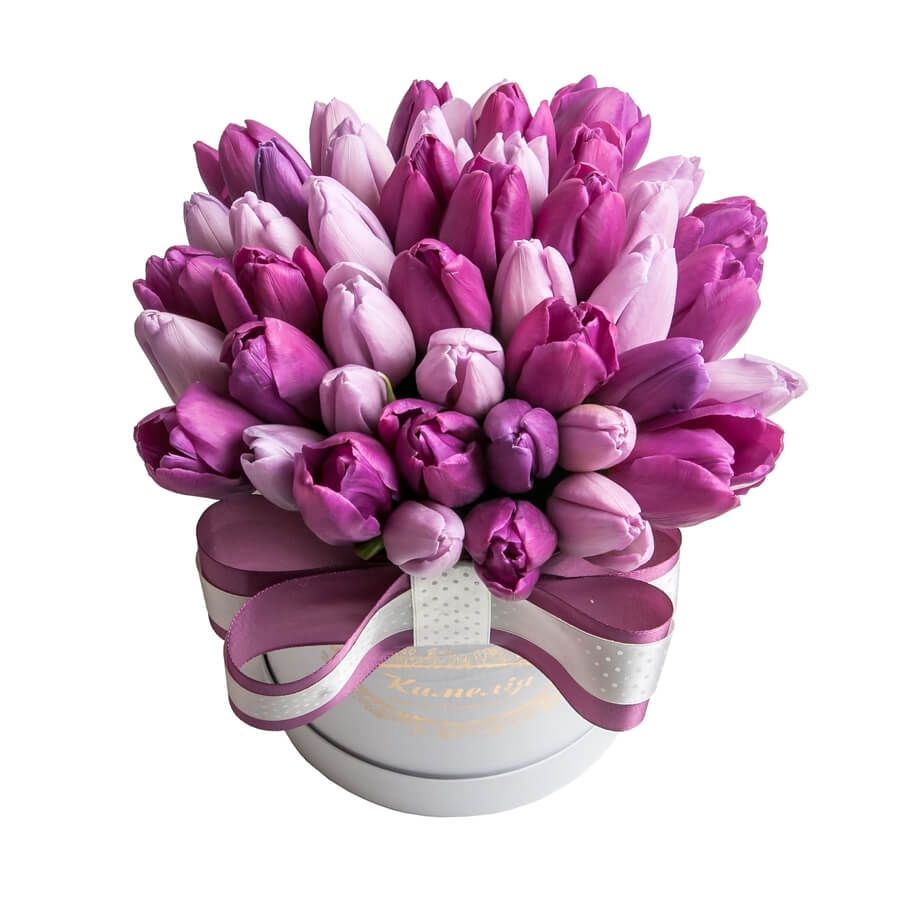 20 тюльпанов можно дарить. Букет тюльпанов. Букет из фиолетовых тюльпанов. Тюльпаны в коробке. Тюльпан фиолетовый.