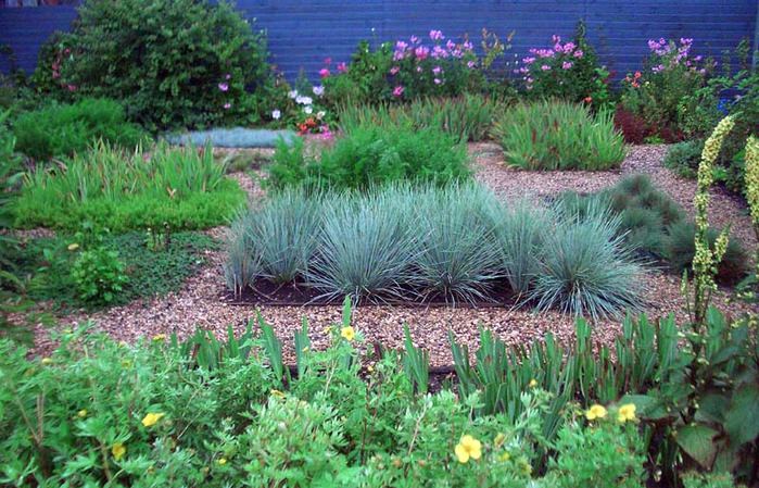 Гравийный сад: очарование степного ландшафта на вашем участке
