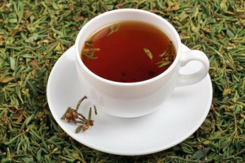 Рододендрон кавказский лечебные свойства для мужчин. Что такое чай из рододендрона и как его приготовить?