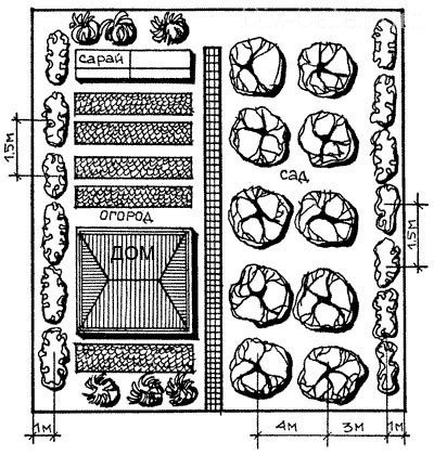 План сада и огорода