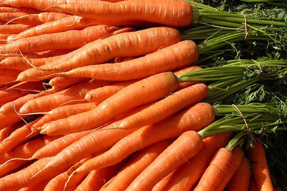 посадка моркови на урале 