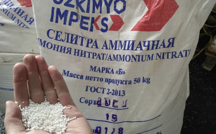 Аммиачная селитра для смородины Аммиачная селитра для смородины