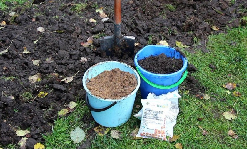 Подготовка почвы под посадку ирисов Подготовка почвы под посадку ирисов