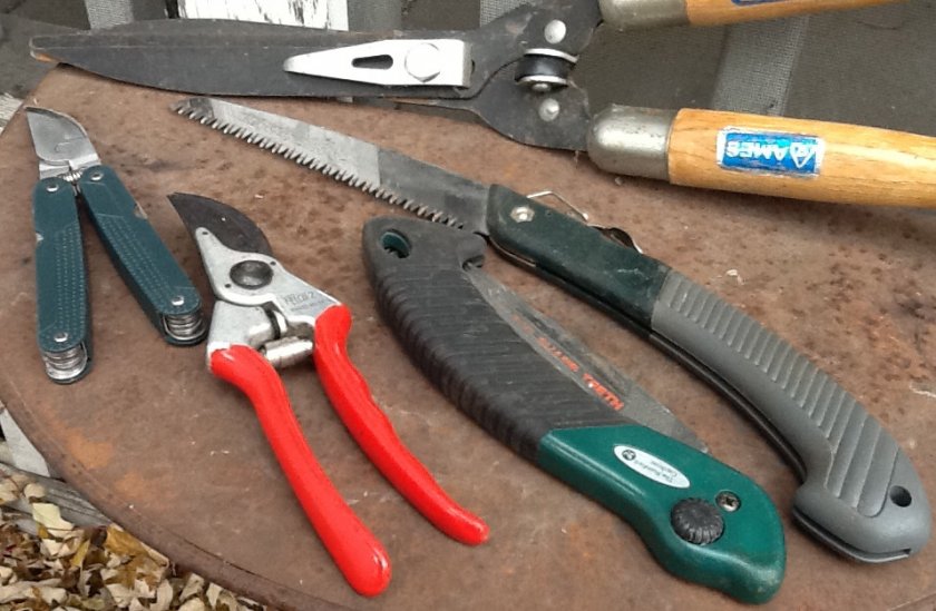 Инструменты для обрезки кустарников