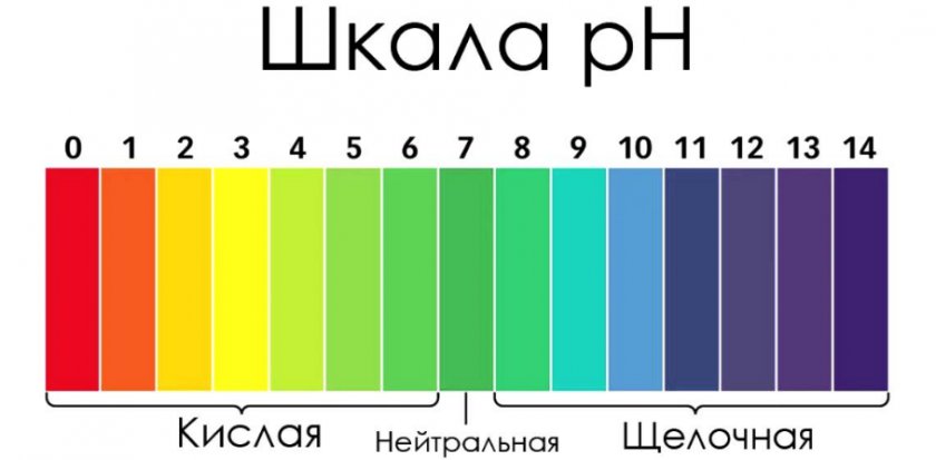 Шкала кислотности почвы