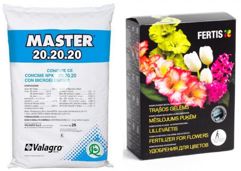 Подкормки для жасмина