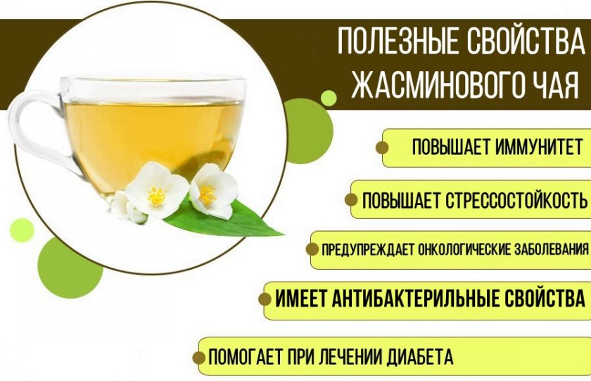 Польза жасминового чая Польза жасминового чая