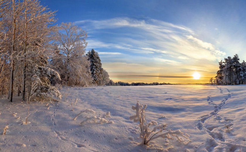 Зима в Ленинградской области