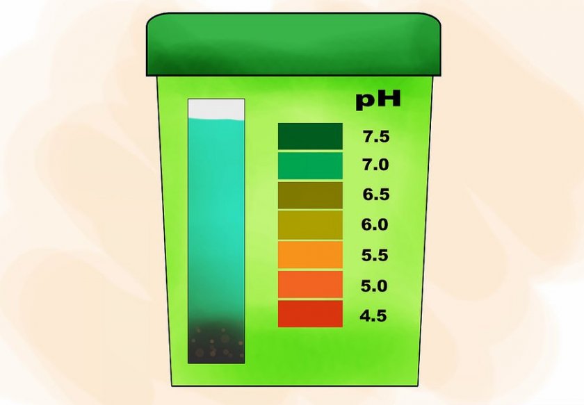 Шкала кислотности грунта Шкала кислотности грунта