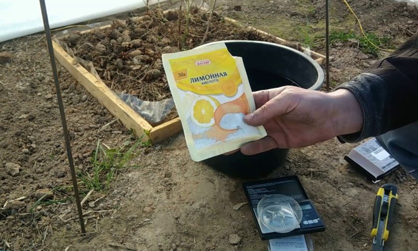Подкисление почвы лимонной кислотой