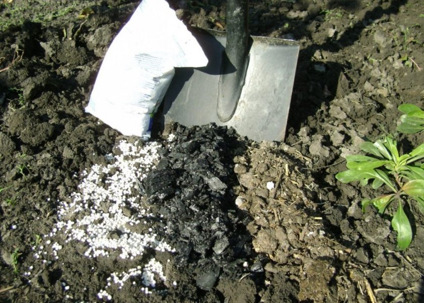 Перекопка почвы с внесением органических удобрений