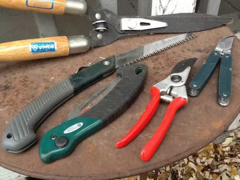 Инструменты для обрезки кустарников
