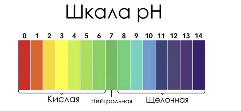 Шкала кислотности почвы