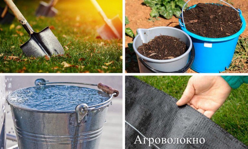 Материалы для посадки Материалы для посадки