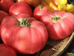 Старайтесь ограничить томаты