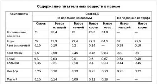 Удобрение для теплицы осенью. Советы, как и чем удобрить теплицу осенью