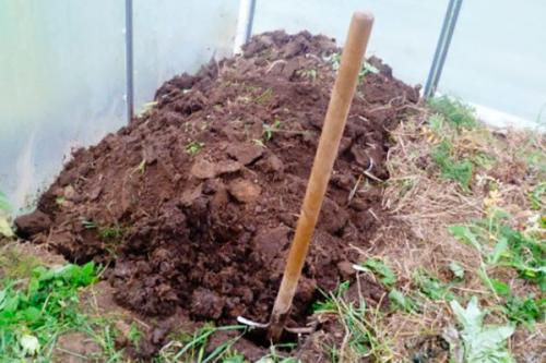 Как улучшить землю в теплице. Как восстановить плодородие почвы в теплице