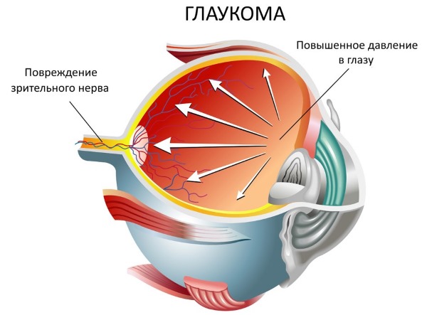 Дурман трава. Фото и описание, лечебные свойства растения, рецепты применения в народной медицине и косметологии