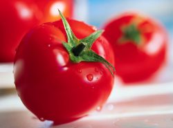 Семена помидоров для теплиц надо выбирать внимательно, так как от этого зависит урожайность