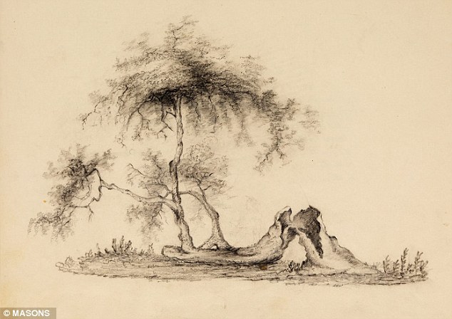 400-year-old tree: A pencil sketch of Newton