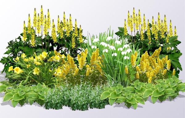 Для полутени прекрасно подойдут растения в желтых, белых, голубых или розовых оттенках