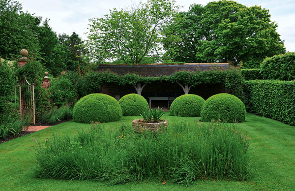 Все чаще в коттеджных садах можно встретить пространства в виде нетронутого или рукотворно созданного луга