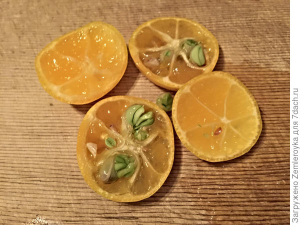 Надо было собрать пораньше...