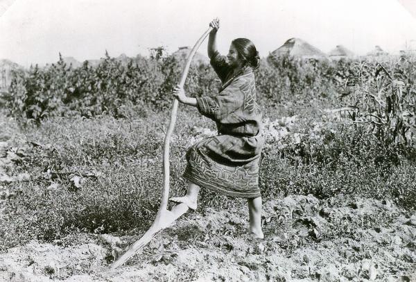 Модернизированная палка-копалка. Женщина народа айнов. Фото с сайта ru.wikipedia.org