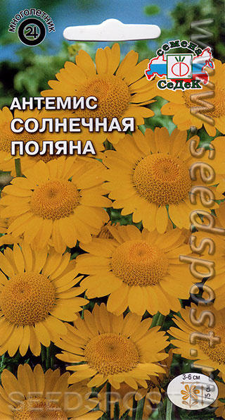 Жёлтая ромашковая поляна в вашем саду.