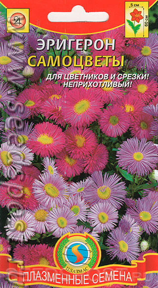 Их возможный друг