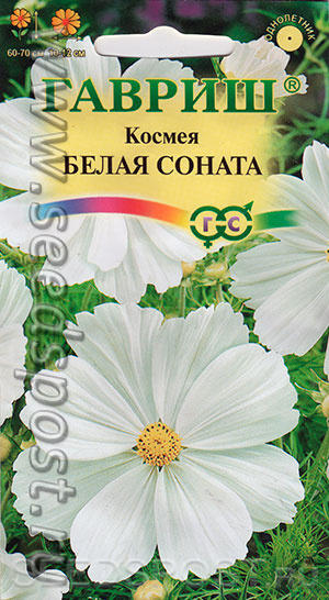 Нежное облако в вашем саду