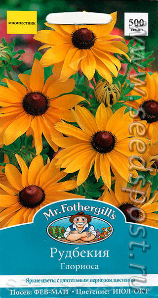 Глориоса - великолепные "ромашки-солнышки"