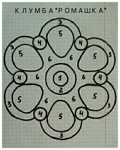 1. Дороникум Ориентале