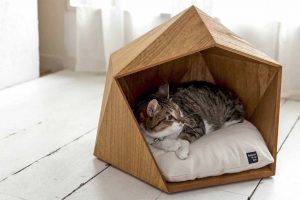 Строим дом для кошки своими руками. Интересные идеи и пошаговые инструкции: из фанеры, картонных коробок, ткани. Чертежи с размерами (120+ Фото & Видео)