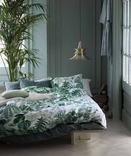 Комнатное растение монстера: уход, фото в интерьере