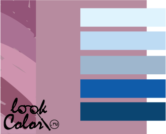 сочетание цветов лиловый и синий