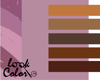сочетание цветов лиловый и коричневый