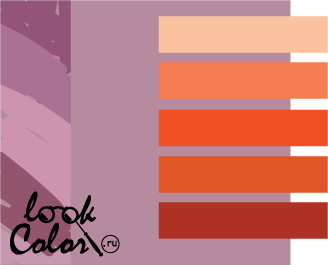 сочетание цветов лиловый и оранжевый