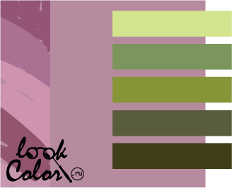 сочетание цветов лиловый и зеленый