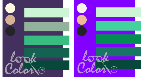 сочетание средне-фиолетового и ярко-фиолетового с холодным зеленым