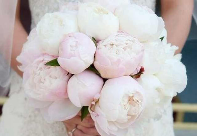 Красивый букет из белых и розовых пионов