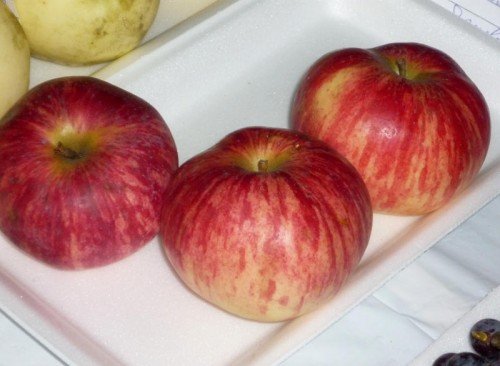 Яблоки сорта Коричное полосатое